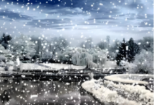 17 水雾雨露冰霜雪雹-橄榄树