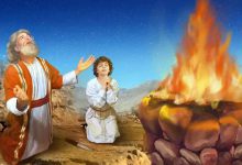 第02讲 因信称义的真理与经历-橄榄树