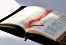 09 《雅歌》讲解-橄榄树