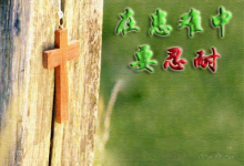 第10讲 基督徒生活守则-橄榄树