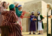 22 以利和他两个儿子-橄榄树