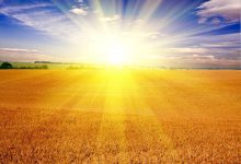 14 耶和华是医治你的-橄榄树