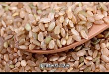 07.五谷杂粮蔬菜水果-橄榄树