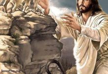 22 如何践行十字架-橄榄树