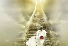 28 恩门会提前关闭吗-橄榄树