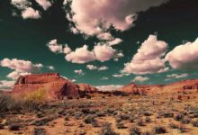 25 罪的咒诅-橄榄树