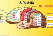 1-1.品格与道德机能-橄榄树