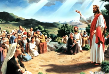 15 福山宝训（上）-橄榄树