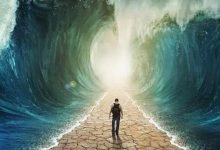 27 如何检验自己的信仰-橄榄树