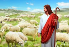 18 如何应对阴历安息日等谬道-橄榄树