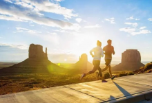 8 人生就是训练-橄榄树