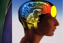 第6讲 至圣所:受印的经验-橄榄树