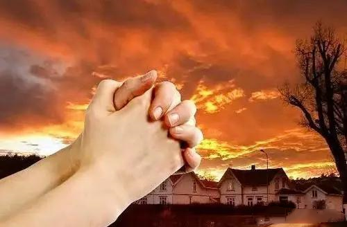 29 卖衣买刀-橄榄树