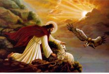 第02讲 罪的问题-橄榄树