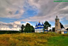 17 近来“先知”挺多的-橄榄树