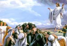 2-4 注目基督跟随基督-橄榄树