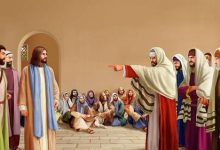 20 防备伪善者的酵-橄榄树