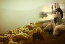 第04讲 “吃干粮”-橄榄树