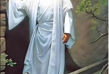 12 隐含的福音-橄榄树