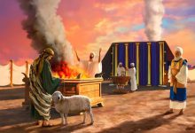 第4讲 在圣所外院称义的经验:赎愆祭、平安祭和洗濯盆-橄榄树