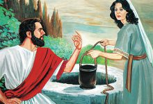 07 必早求也必早给-橄榄树