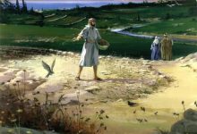 15 最初的几个比喻-橄榄树