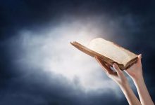 13.小先知书综述-橄榄树