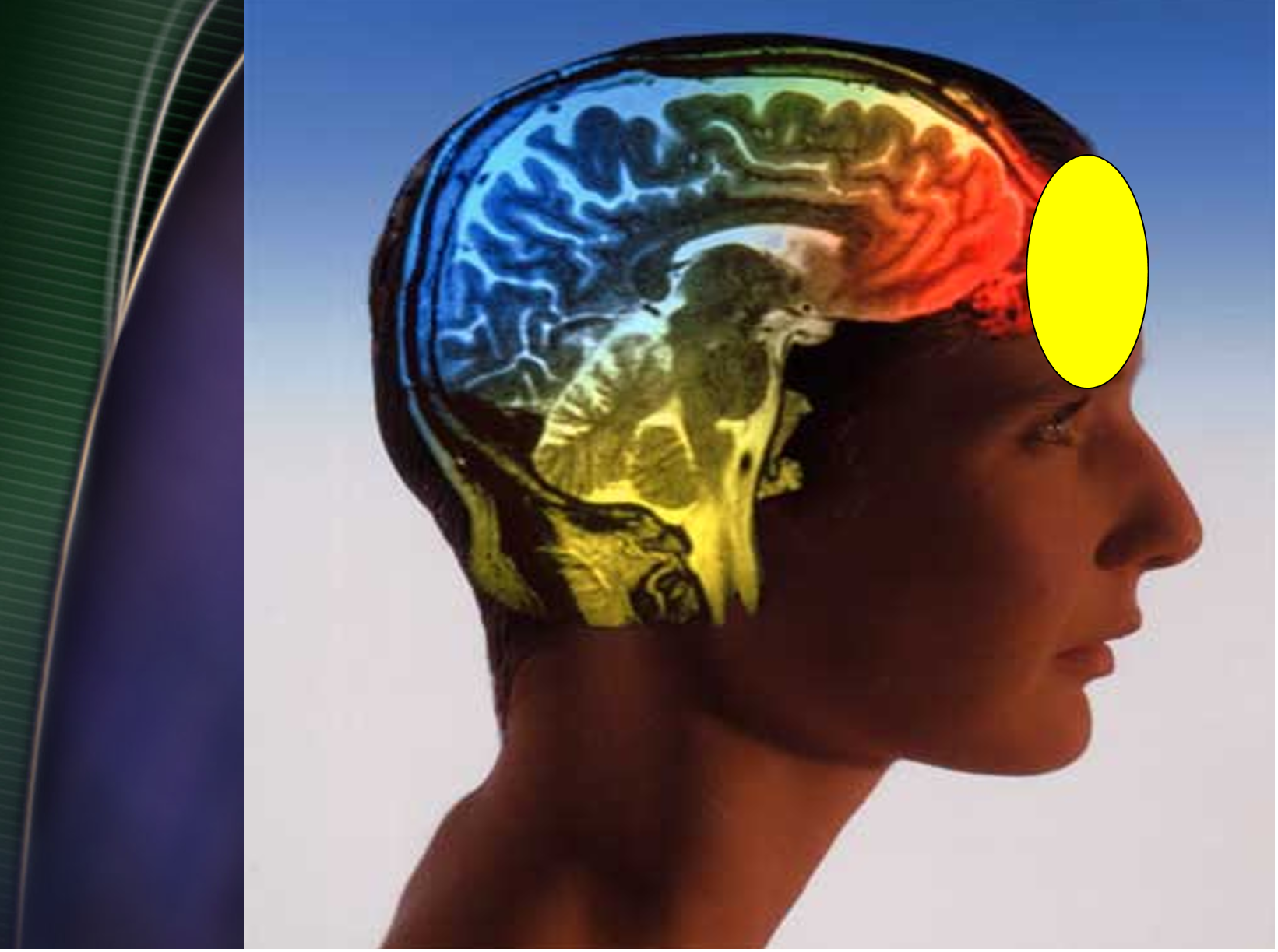 30上帝的印记-橄榄树