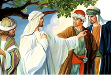 43 真以色列人-橄榄树