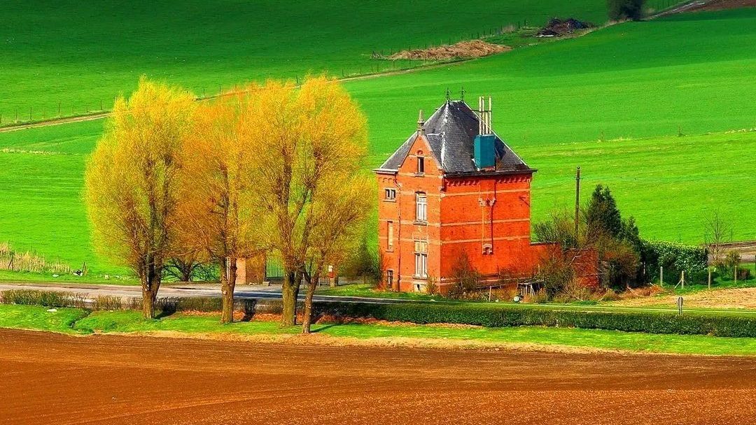 40.三个试验-橄榄树