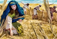 55..路得记-橄榄树