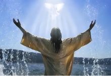 68 走向晚雨的思考-橄榄树