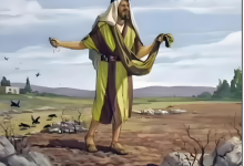 87.撒种的比喻-橄榄树