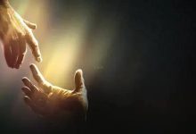 118.经常失败者的希望-橄榄树