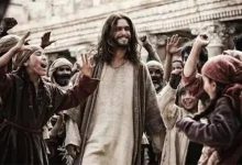 127.使徒所传的福音-橄榄树