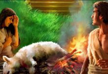 141.上帝的永约-橄榄树