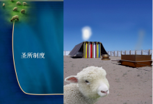 146.世上最昂贵的-橄榄树