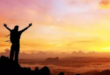 192.八福-橄榄树