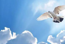 191.路15-16章:“藉着那不义的钱财结交朋友”-橄榄树