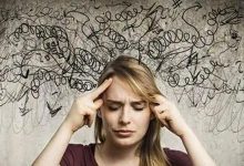 03.话就是灵-橄榄树