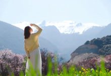 05 走向基督-橄榄树