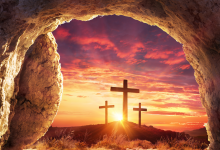 17. 安息日真谛-橄榄树