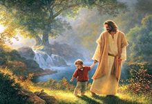 16 在真道上联合-橄榄树